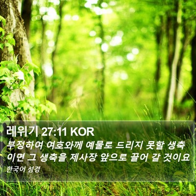 레위기 27:11 KOR Bible Verse Image