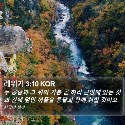 레위기 3:10 KOR Bible Verse Image