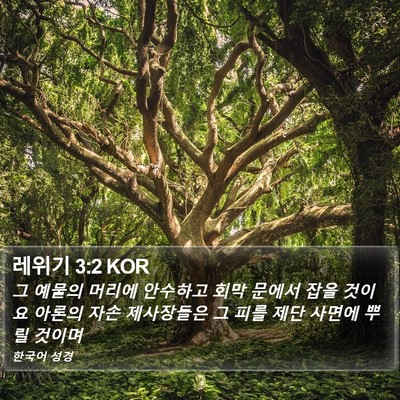 레위기 3:2 KOR Bible Verse Image