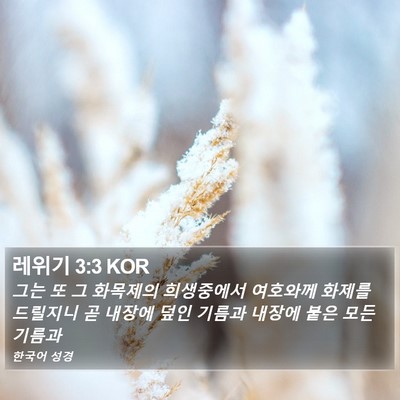레위기 3:3 KOR Bible Verse Image