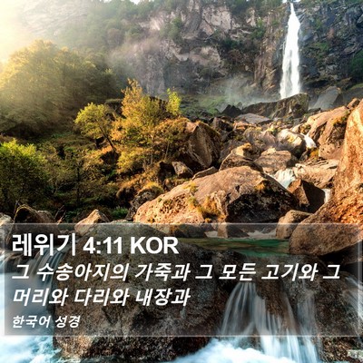레위기 4:11 KOR Bible Verse Image