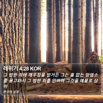 레위기 4:28 KOR Bible Verse Image