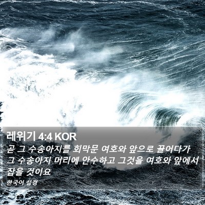레위기 4:4 KOR Bible Verse Image