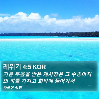 레위기 4:5 KOR Bible Verse Image