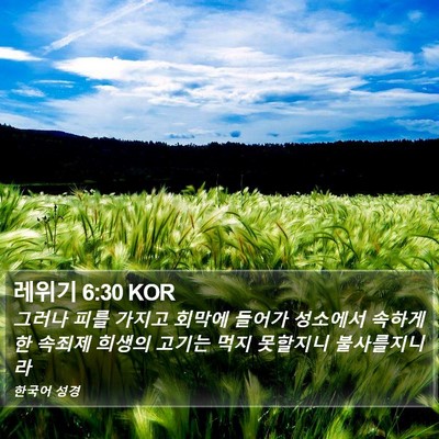 레위기 6:30 KOR Bible Verse Image