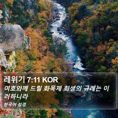 레위기 7:11 KOR Bible Verse Image