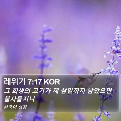 레위기 7:17 KOR Bible Verse Image