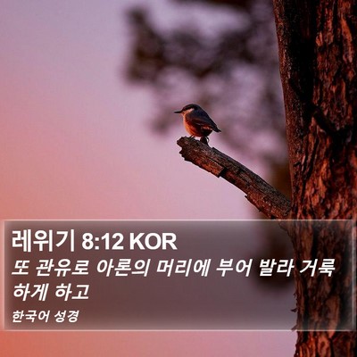레위기 8:12 KOR Bible Verse Image