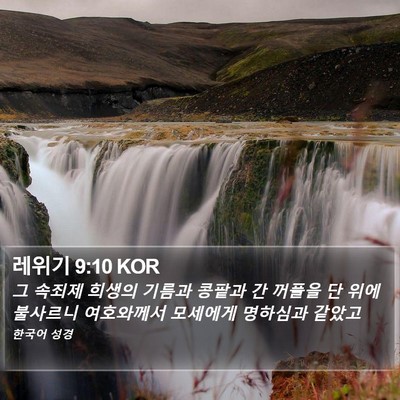 레위기 9:10 KOR Bible Verse Image