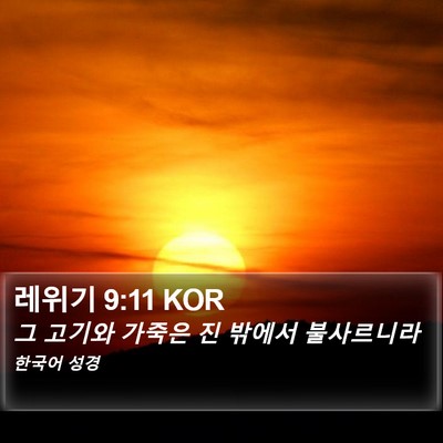 레위기 9:11 KOR Bible Verse Image