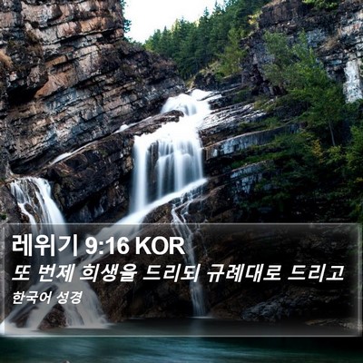 레위기 9:16 KOR Bible Verse Image