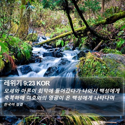 레위기 9:23 KOR Bible Verse Image