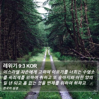 레위기 9:3 KOR Bible Verse Image
