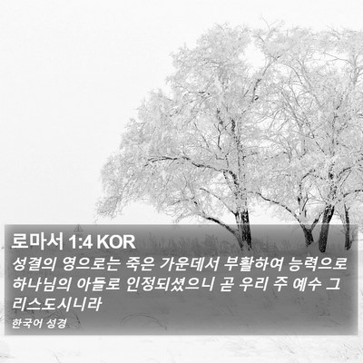 로마서 1:4 KOR Bible Verse Image
