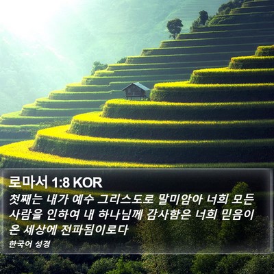 로마서 1:8 KOR Bible Verse Image