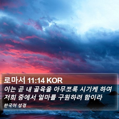 로마서 11:14 KOR Bible Verse Image