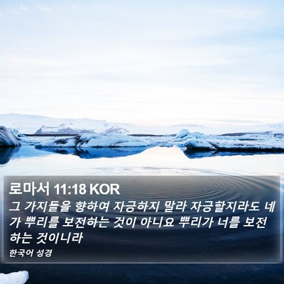 로마서 11:18 KOR Bible Verse Image