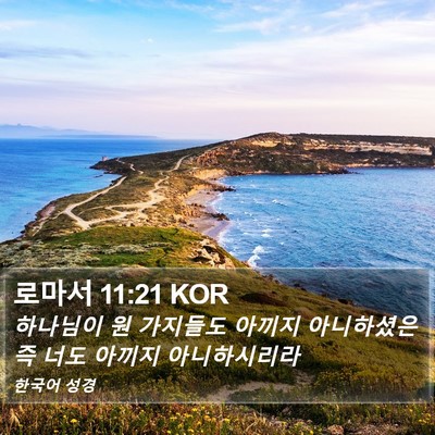 로마서 11:21 KOR Bible Verse Image