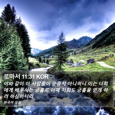 로마서 11:31 KOR Bible Verse Image