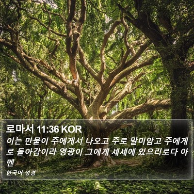로마서 11:36 KOR Bible Verse Image