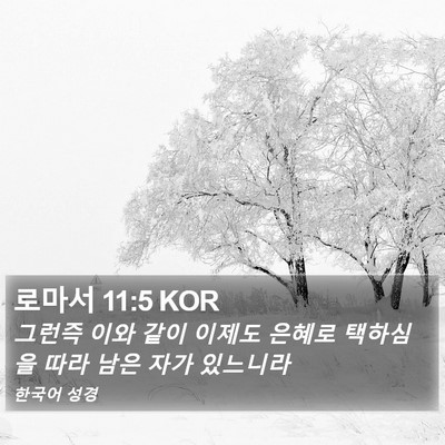 로마서 11:5 KOR Bible Verse Image