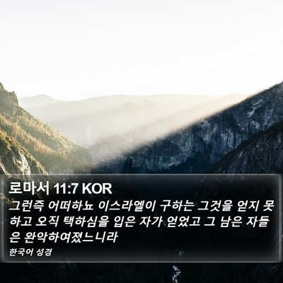 로마서 11:7 KOR Bible Verse Image