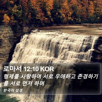 로마서 12:10 KOR Bible Verse Image
