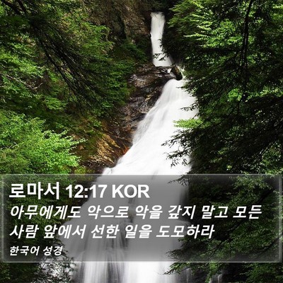 로마서 12:17 KOR Bible Verse Image