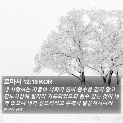 로마서 12:19 KOR Bible Verse Image