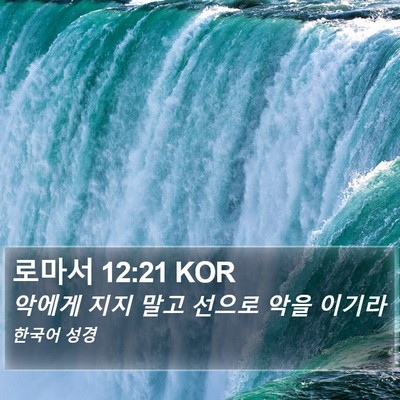 로마서 12:21 KOR Bible Verse Image