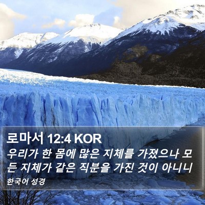 로마서 12:4 KOR Bible Verse Image