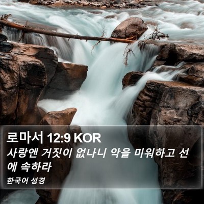 로마서 12:9 KOR Bible Verse Image