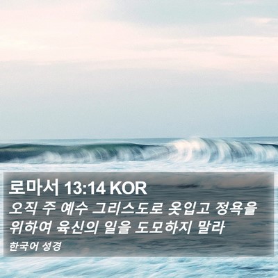 로마서 13:14 KOR Bible Verse Image