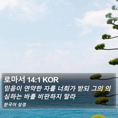 로마서 14:1 KOR Bible Verse Image