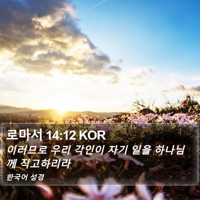 로마서 14:12 KOR Bible Verse Image
