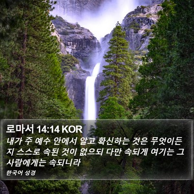 로마서 14:14 KOR Bible Verse Image