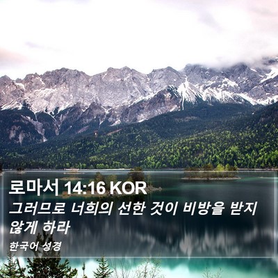 로마서 14:16 KOR Bible Verse Image