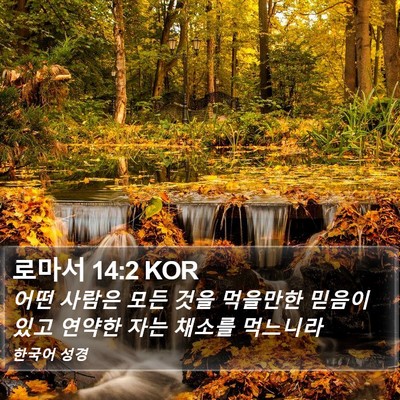 로마서 14:2 KOR Bible Verse Image