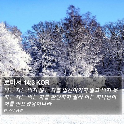 로마서 14:3 KOR Bible Verse Image