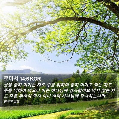 로마서 14:6 KOR Bible Verse Image