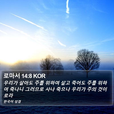 로마서 14:8 KOR Bible Verse Image
