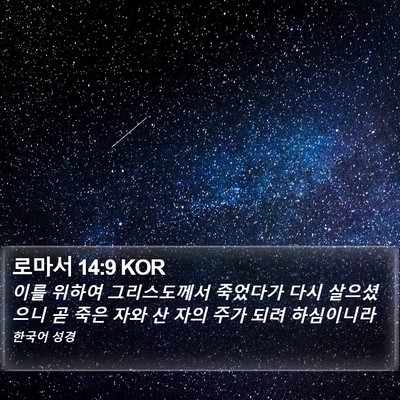 로마서 14:9 KOR Bible Verse Image