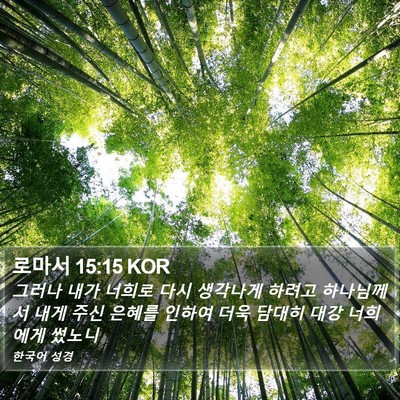 로마서 15:15 KOR Bible Verse Image