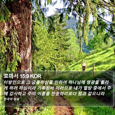 로마서 15:9 KOR Bible Verse Image