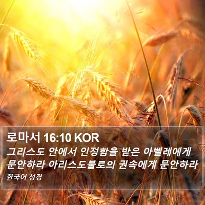 로마서 16:10 KOR Bible Verse Image
