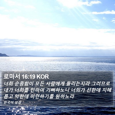 로마서 16:19 KOR Bible Verse Image