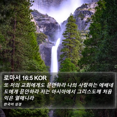 로마서 16:5 KOR Bible Verse Image