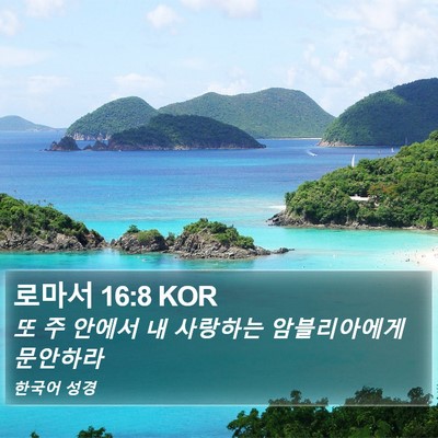 로마서 16:8 KOR Bible Verse Image