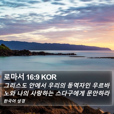 로마서 16:9 KOR Bible Verse Image