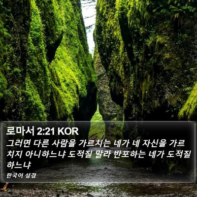 로마서 2:21 KOR Bible Verse Image